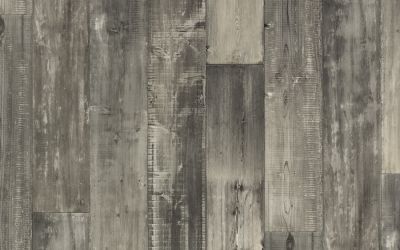 CV_Deluxe_Wood19_Pisa_3312_mus.jpg